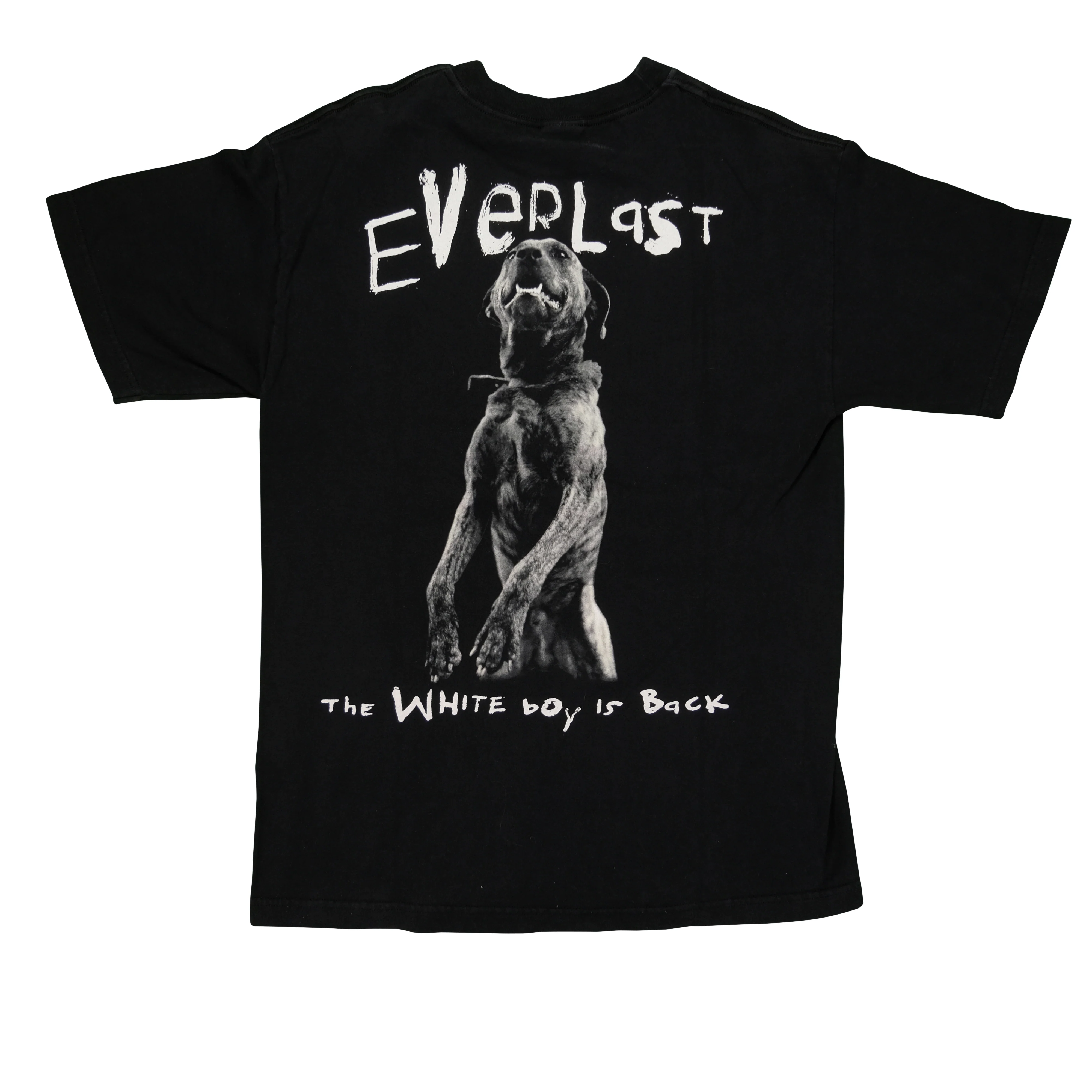 Vintage HYLAND Everlast Whitey Ford Sings the Blues Album 1998 Tour The White Boy Is Back T Shirt 90s Black L - Image 2