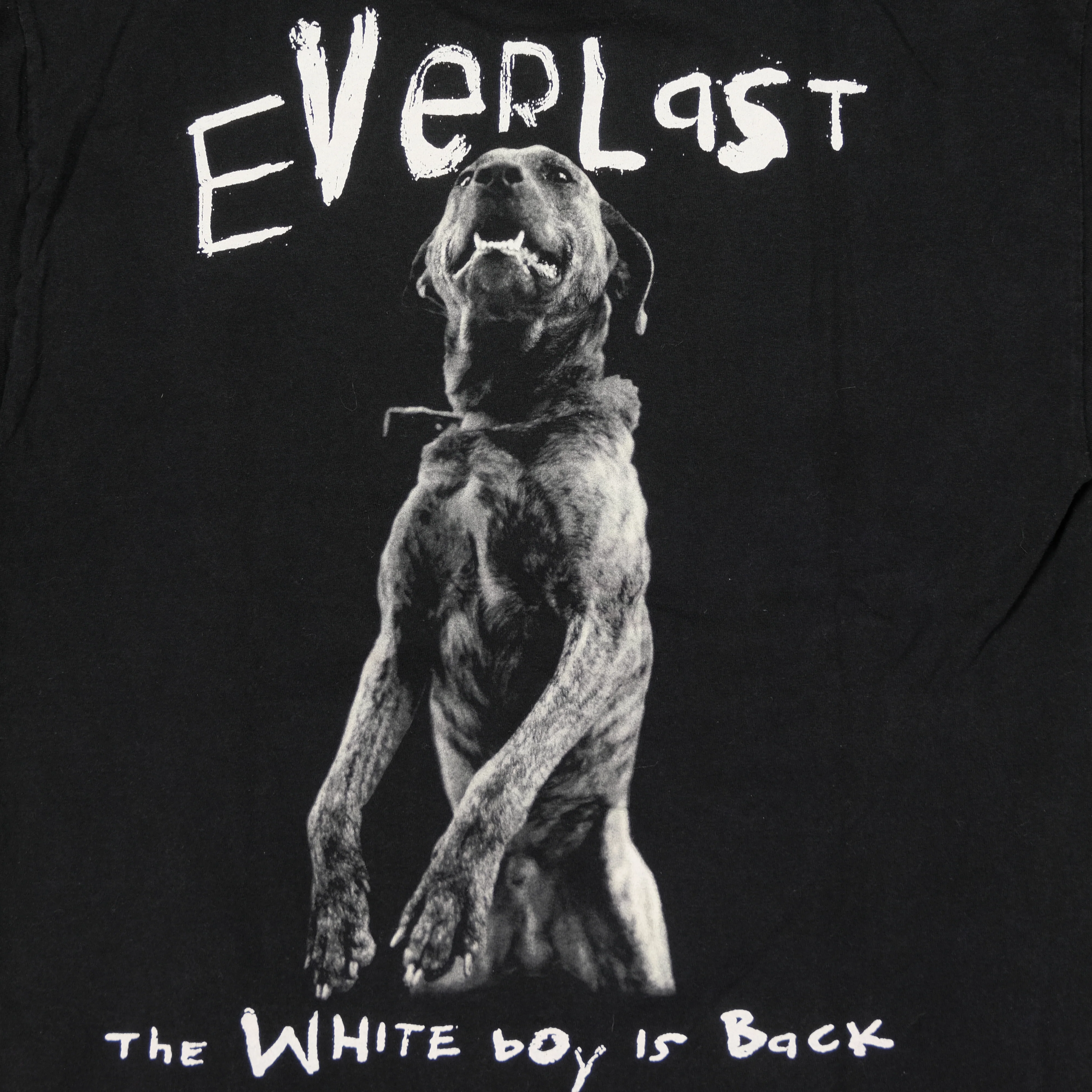 Vintage HYLAND Everlast Whitey Ford Sings the Blues Album 1998 Tour The White Boy Is Back T Shirt 90s Black L - Image 5