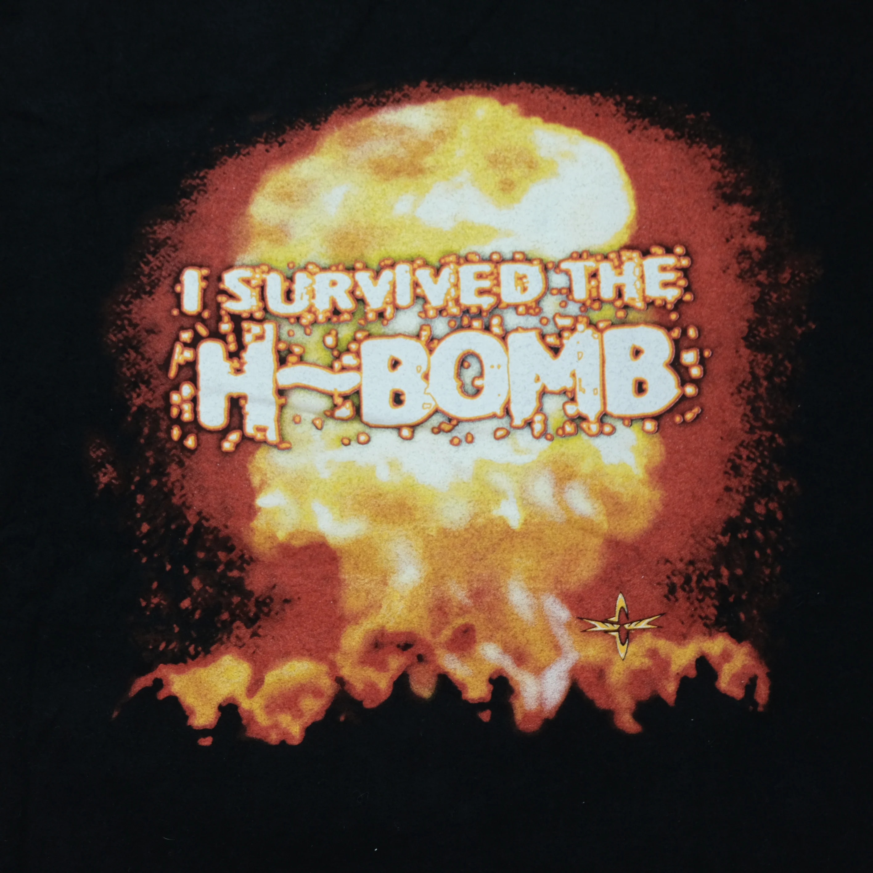 Vintage TULTEX The Harris Brothers Heavy D & Big Ron H-Bomb Wrestling T Shirt 90s Black XL - Image 9